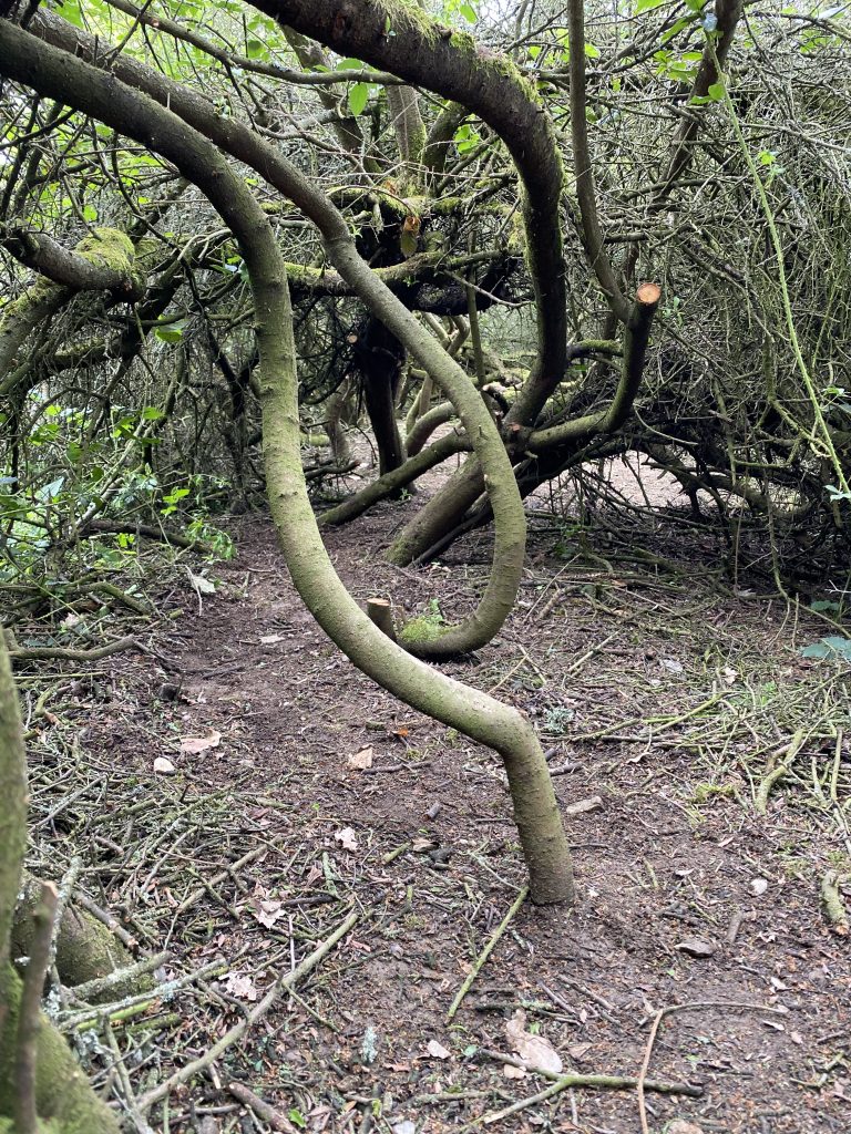 Investiční džungle