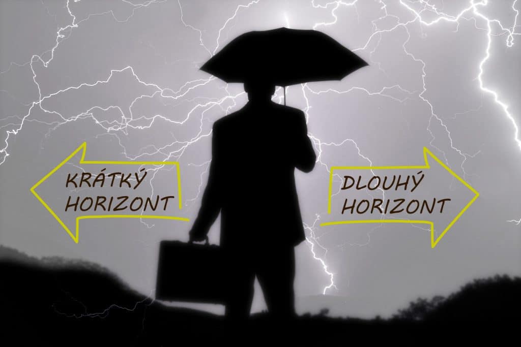 Krátký vs. dlouhý horizont předávání majetku